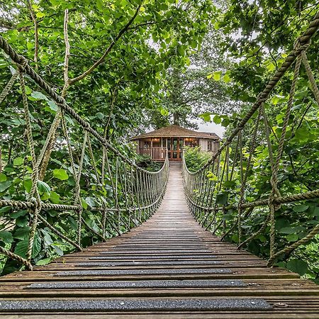 Bensfield Treehouse Villa Wadhurst Exterior photo